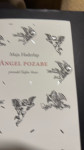 Angel pozabe - Maja Haderlap