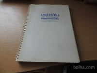 ANGLEŠČINA ZA NOVINARJE N. VESEL FDV 1997