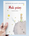 ANTOINE DE SAINT EXUPERY MALI PRINC