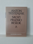 Anton Trstenjak - Skozi Prizmo Besede (Slovenska Matica, 1989)