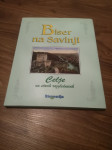 Biser na Savinji - Celje na starih razglednicah