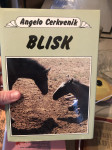 Blisk