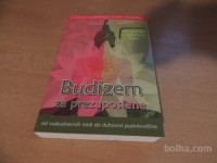 BUDIZEM ZA PREZAPOSLENE D. MICHIE ZALOŽBA KARANTANIJA 2011