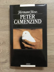 Camenhzind Peter, Hesse H.