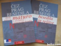 Čez prag besedila na maturi + rešitve