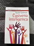 Čustvena inteligenca Daniel Goleman