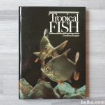 Geoffrey Rogers TROPICAL FISH