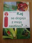 Kaj se dogaja z mojo rastlino-Steven Bradley Ptt častim :)