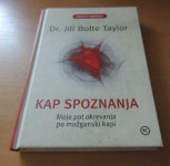 KAP SPOZNANJA (Moja pot okrevanja po možganski kapi)
