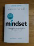 Knjiga: Mindset