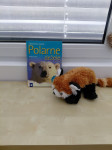 Knjiga Polarne dežele in plišasta panda .