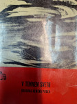 KONDOR V TEMNEM SVETU SODOBNA NEMŠKA PROZA