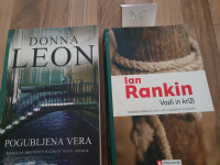 Krimininalni roman:
