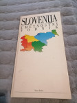 SLOVENSKI UMETNOSTNI VODNIK