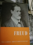 FREUD BREZ ČAROBNE MASKE