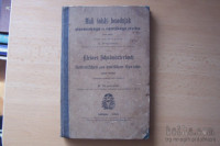 MALI ŠOLSKI BESEDNJAK SLOVENSKEGA IN NEMŠKEGA JEZIKA 1890