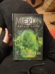 Merlin -zrcalo usode