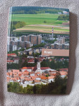 Milan Sagadin, Kranj