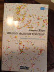 Milijon majhnih koščkov, James Frey