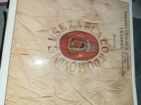 Prapor Narodne čitalnice v Kamniku, 1873