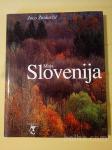 Moja Slovenija (Joco Žnidaršič)