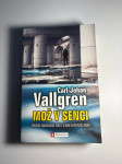MOŽ V SENCI CARL- JOHAN VALLGREN
