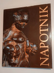 NAPOTNIK