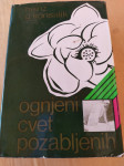 Ognjeni cvet pozabljenih