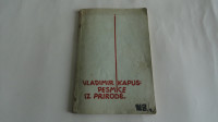 PEDMICE IZ PRIRODE - VLADIMIR KAPUS 1932