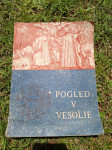 Prodam knjigo Pogled v vesolje-Fran Dominko