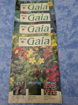 Prodam revije Gaia