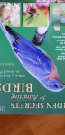 Rachael Lanicci Garden Secrets for Attracting Birds