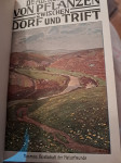Rastline iz leta 1910