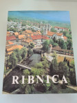 Ribnica skozi stoletja 1982