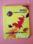 SEM V BESEDI IN BARVI (Breda Videnič Kuplenik)
