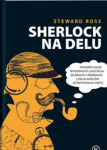 Sherlock na delu - Steward Ross