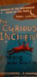The Curious Incident of the Dog in the Night-Time  Mark Haddon