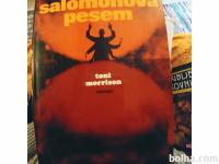 TONI MORRISON: SALOMONOVA PESEM