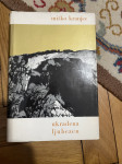 Ukradena ljubezen