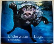 Underwater Dogs, knjiga fotografij, ZELO zanimivo