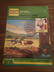 Ustvarjaj slike - Divjina