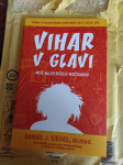Vihar v glavi