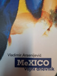 VLADIMIR ARSENIJEVIĆ MEXICO , VOJNI DNEVNIK