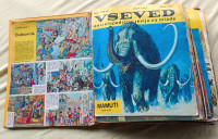 Vseved enciklopedična revija za mlade