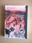 Zaljubljeni jetnik, Jean Genet