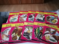 ŽIVALI