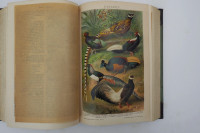 Brockhaus konversations lexikon 1901 do 1904 Nemški