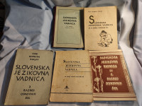 Lot starih knjig SLOVENSKA JEZIKOVNA VADNICA