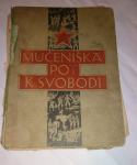 Redka starinska knjižica Mučeniška pot k svobodi, 1946 naprodaj