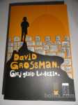GLEJ GESLO: LJUBEZEN, DAVID GROSSMAN, BELETRINA
